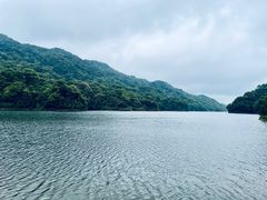 -广州市石门国家森林公园