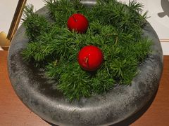 -觀芷隐轩