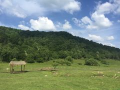 -大水川景区