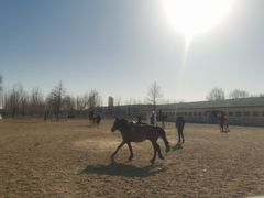 -北京群众马术培训基地