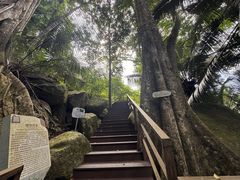 -霸王岭国家森林公园