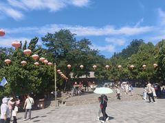 -蓬莱阁景区