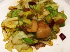 手撕包菜-惠丰堂饭庄·烤鸭·京味菜(西北旺·唐家岭店)