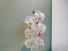 -La Porte de Paris 巴黎之门法式甜品