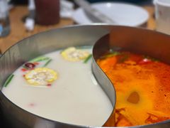 -青瓷火锅料理(西单大悦城店)