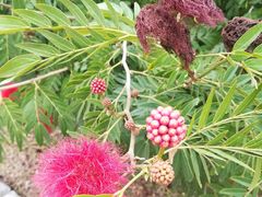 -南国桃园旅游度假区