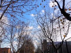 -大连理工大学(凌水校区)