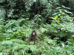 -西岭雪山大飞水景区