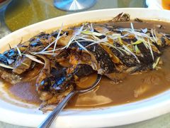 -青岛蓝海大饭店·渔歌舫(李沧店)