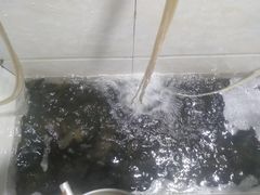 -彭大姐老店黄辣丁(新津店)