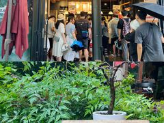-茶颜悦色(岳麓山顶店)
