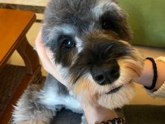 -北京恒爱动物医院(清景园分院)