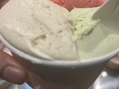 斑斓椰子-Dip in Gelato(富民路店)