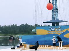 -秦皇岛乐岛海洋王国