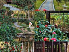 -深圳国际园林花卉博览园