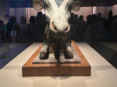 -上海博物馆(人民广场馆)