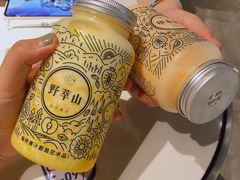 -野萃山·潮汕厚果汁(十亩地店)
