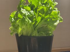 -九田家黑牛烤肉料理(福州道店)