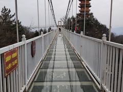 -塔云山
