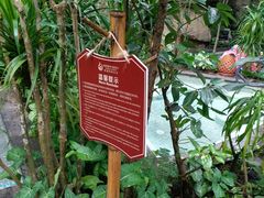 -海口观澜湖火山温泉谷