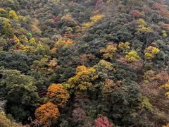 -燕子河大峡谷天坑仙境