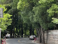 -上海佘山国家森林公园天马山园