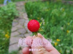 -贵阳市花溪国家城市湿地公园