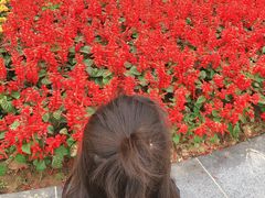 -龙寺生态园