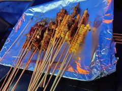 -何师烧烤·川味烧烤代表品牌(科园店)