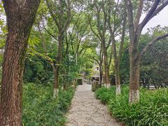 -白马涧龙池景区