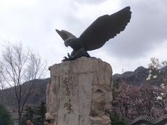 -北京鹫峰国家森林公园