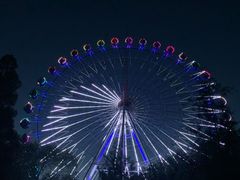 -青城公园