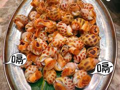 -禄婶鸡煲·打边炉