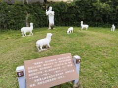 -圣心大教堂