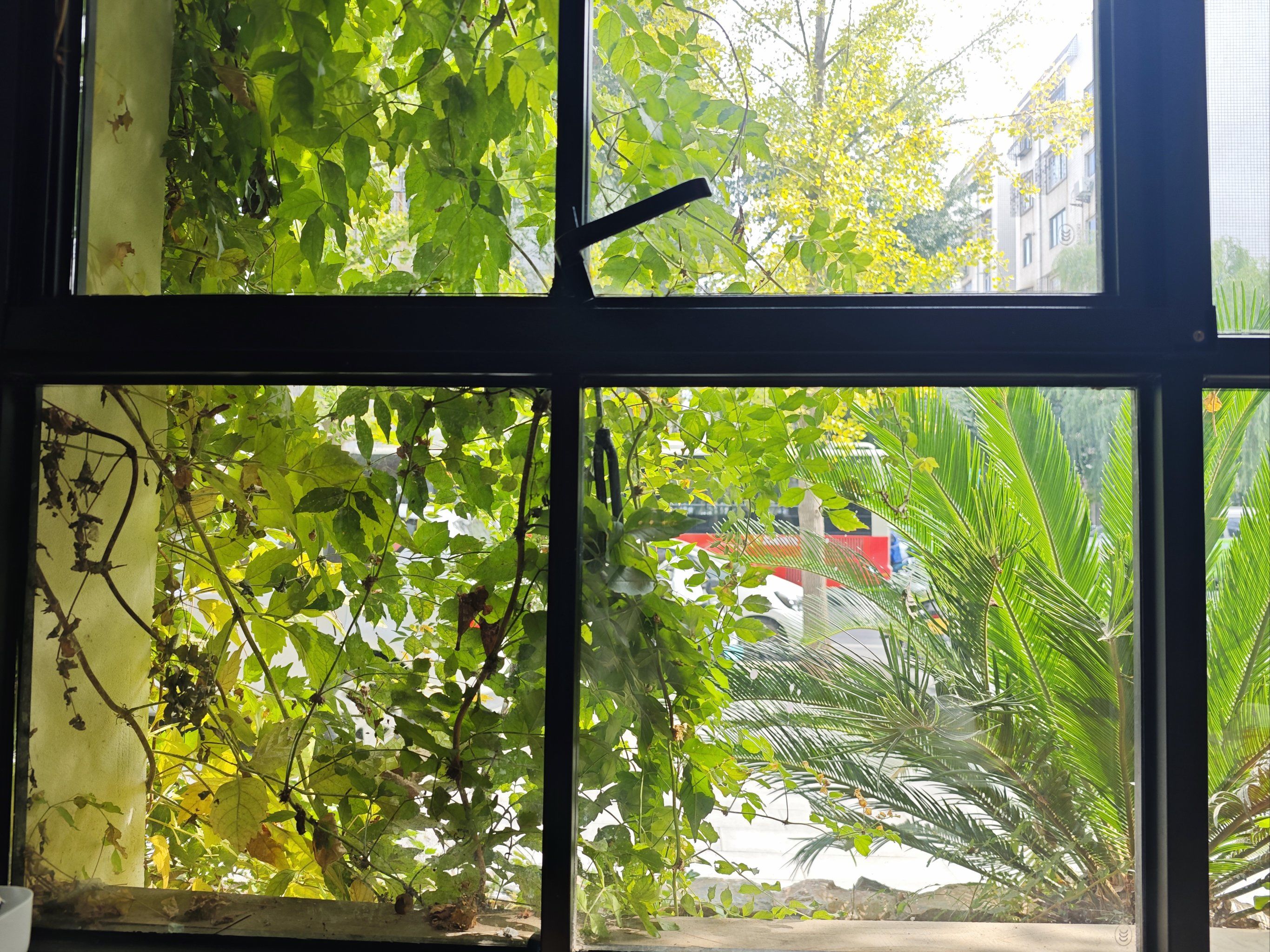 和窗外的景色对话