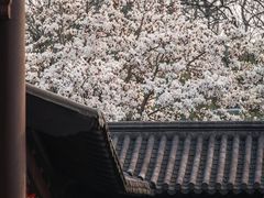 -钱王祠