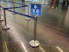 -广州塔