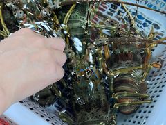 -都斛海鲜街