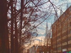 -云南师范大学(一二一西南联大校区)