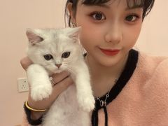 -猫咪派对(江南西店)