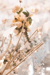 -蘭CLUB一站式酒店