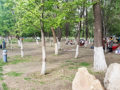 -长白岛森林公园