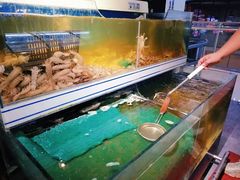 -蛙太牛牛肉海鲜自助火锅(台江万达店)