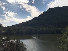 景观位-芳草地度假酒店·野炉中餐厅