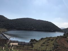 -大姆山草场