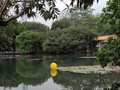-荔枝公园(福田区)