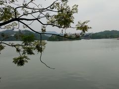 -惠州西湖丰渚园