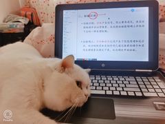 -萌兽医馆·眼科·异宠专科(三里屯店)