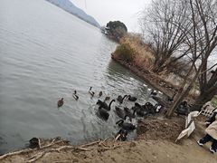 -长兴太湖图影湿地文化园