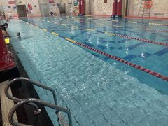 -飞鲨游泳培训学校